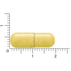 Vitakruid Quercetine 250 -TENA || Metagenics || Now Winkel 1021059 4