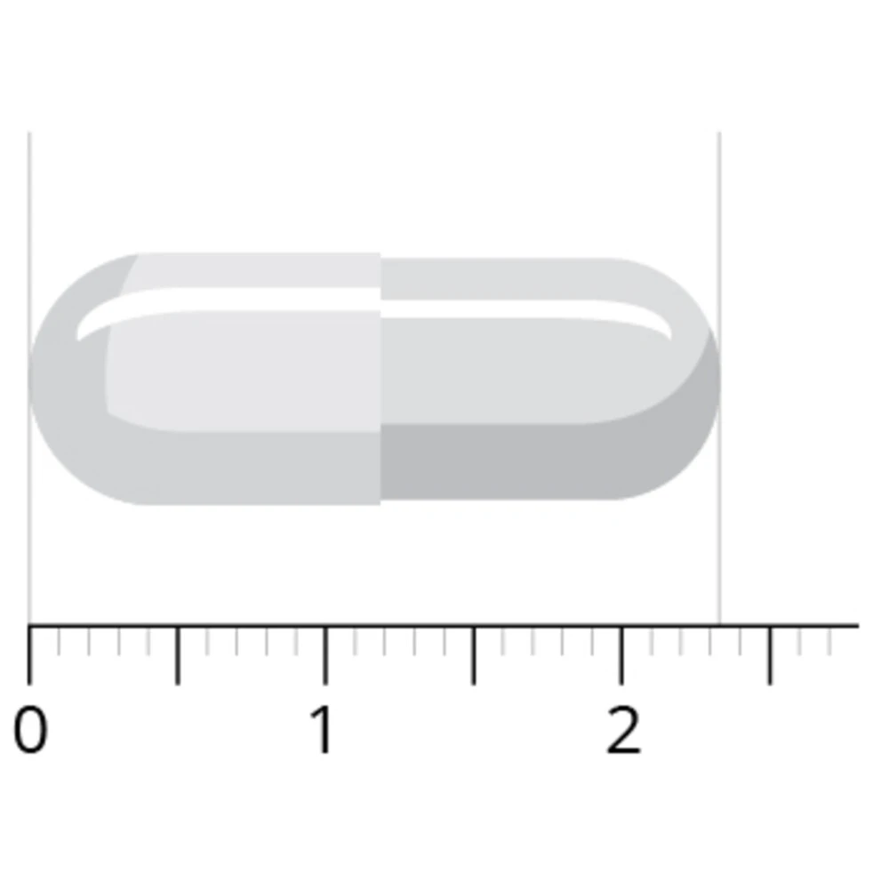 Vitals Acetyl-l-carnitine 500 Mg 6 Vitals Acetyl-l-carnitine 500 Mg - Afbeelding 4
