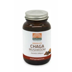 Mattisson Chaga Extract 350 Mg
