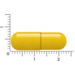 Vitakruid Berberine 500 Rebersa 10 Vitakruid Berberine 500 Rebersa -TENA || Metagenics || Now Winkel 1029807 4
