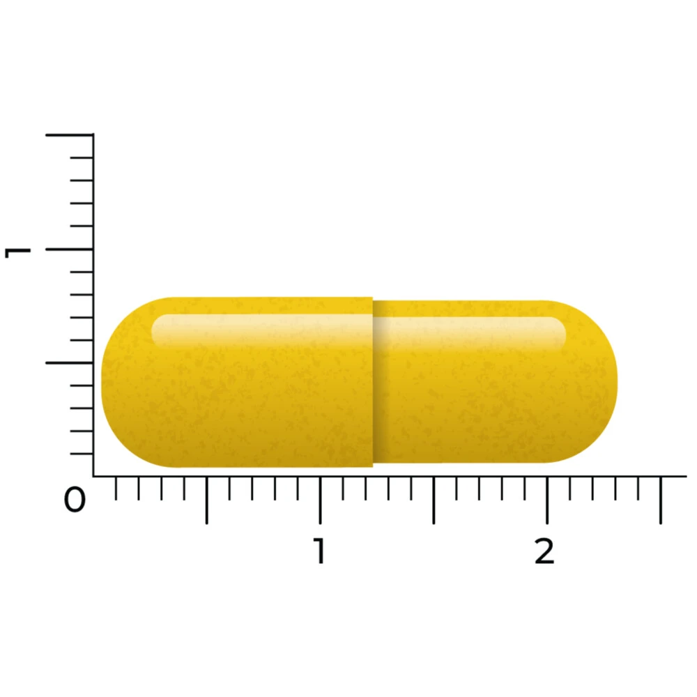 Vitakruid Berberine 500 Rebersa 6 Vitakruid Berberine 500 Rebersa - Afbeelding 4