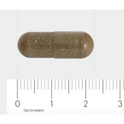Orthica Slaap Support -TENA || Metagenics || Now Winkel 1029812 4