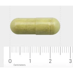 AOV 310 Ester C (650 Mg) -TENA || Metagenics || Now Winkel 1030184 4