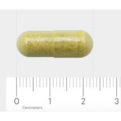 AOV 816 Quercetine-extract (500 Mg) -TENA || Metagenics || Now Winkel 1030206 4