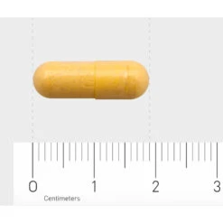 Orthica B2-50 9 Orthica B2-50 -TENA || Metagenics || Now Winkel 1033738 4