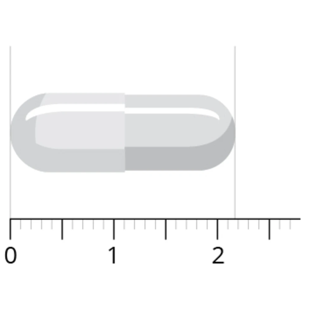 Vitals L-Theanine SP 6 Vitals L-Theanine SP - Afbeelding 4