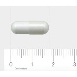 AOV 602 L-Theanine -TENA || Metagenics || Now Winkel 1048863 4