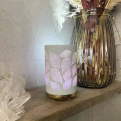 CHI Verdamper Leaves -TENA || Metagenics || Now Winkel 1054481 4