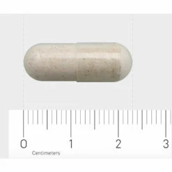 Garden Of Life Raw Vitamine B12 -TENA || Metagenics || Now Winkel 888451 4