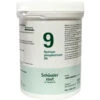 Pfluger Schussler Zout Nr 9 Natrium Phosphoricum D6 -TENA || Metagenics || Now Winkel 925926