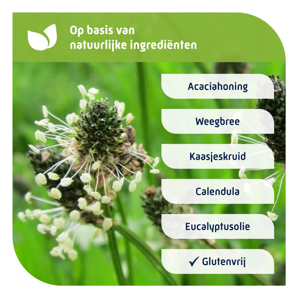 Natterman Voor Alle Hoest Hoestdrank 6 Natterman Voor Alle Hoest Hoestdrank - Afbeelding 4